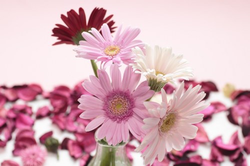 Locally grown flowers in a sustainable bouquet