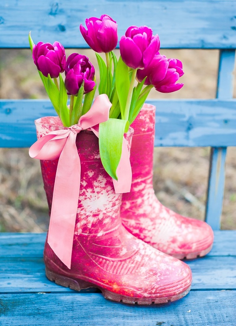 The Complete Orchid Lover's Maintenance Guide